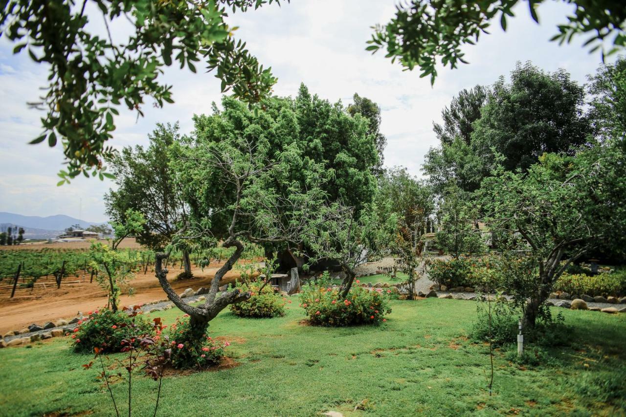 Villa Rancho El Parral San Marcos  Exterior foto